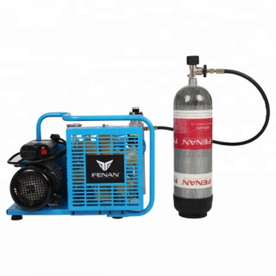 Scuba diving portable air compressor price